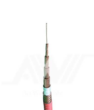 BTTRZ（3）.png